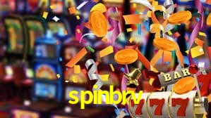 Premium Interface spinbrv