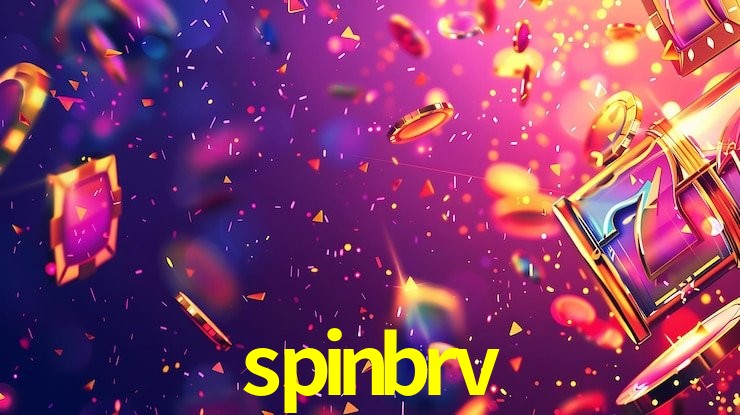 Interface Premium spinbrv