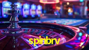 Security Systems spinbrv